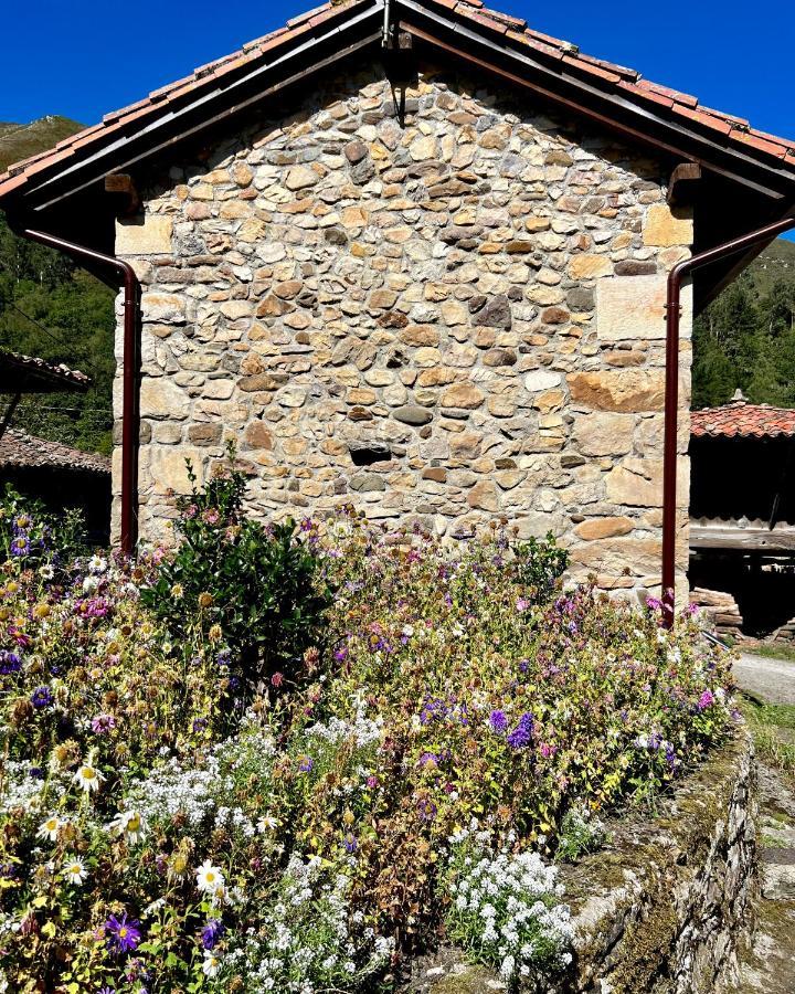La Casita De Olivia Espinaredo Villa La Villa Екстериор снимка